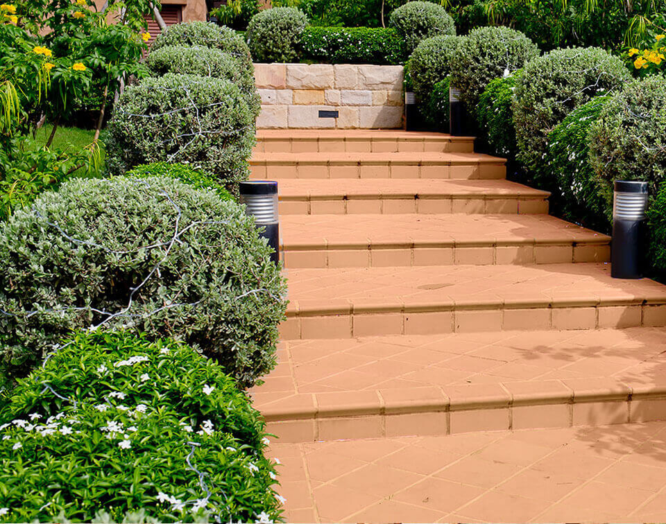 Landscape Design